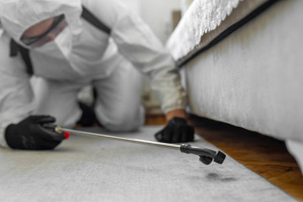 Professional Bed Bug Control technician working in Salisbury, MO