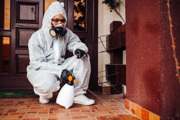 Reliable Bed Bug Control contractor in Salisbury, MO by Nex Pest Control