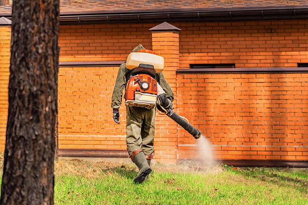 Top rated local Bed Bug Control specialists in Salisbury, MO